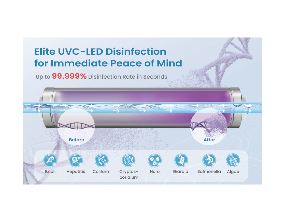 Highly Effective Disinfection